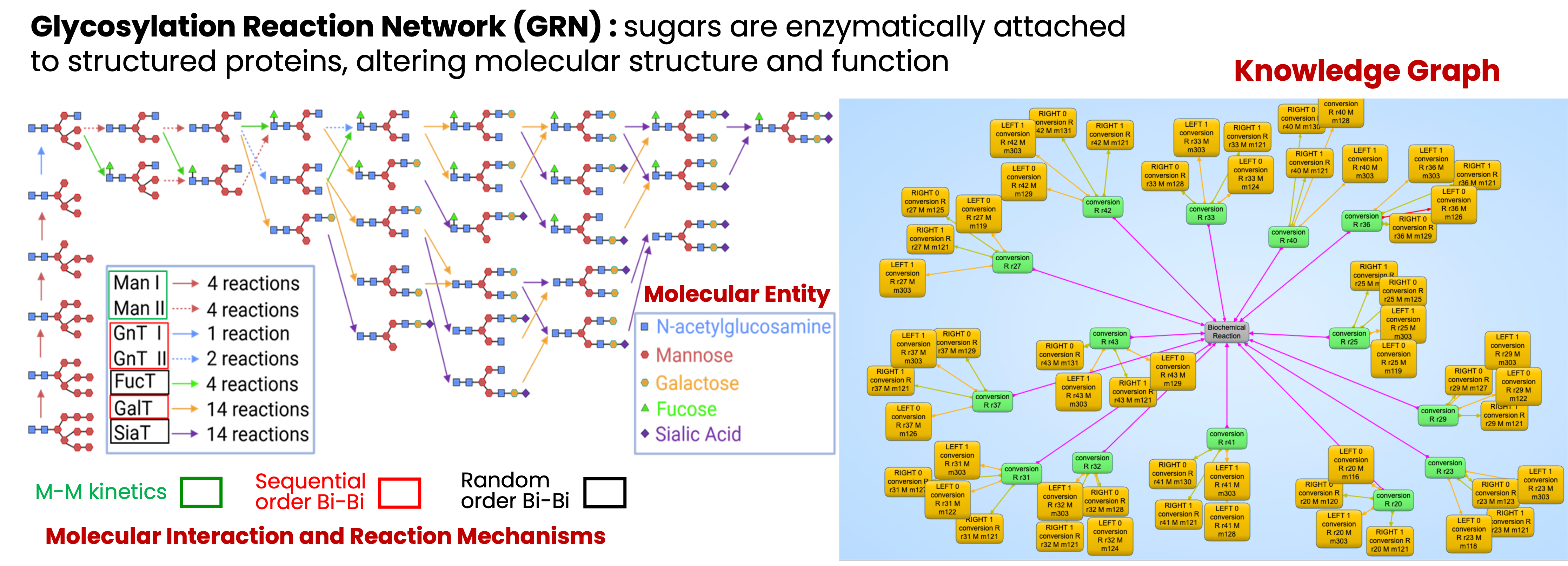 mRNA